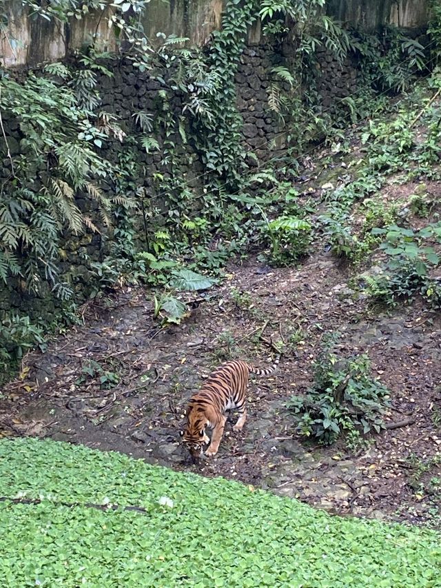 A day in the wild! ❤️❤️
