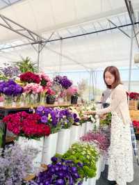 AGA Happy farm สวนดอกไม้แม่แตง เชียงใหม่