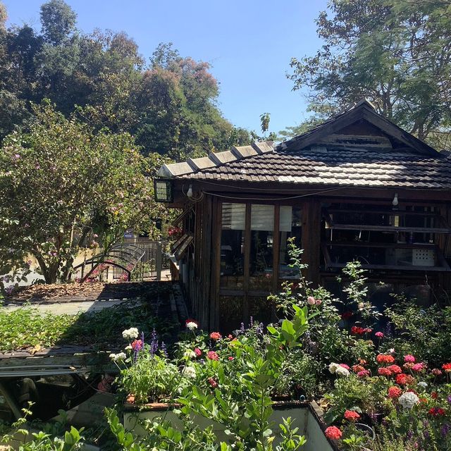 Bee & Rose café