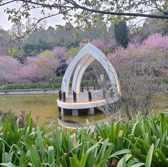 OPEN將的高山花園【清境小瑞士花園】