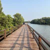 | ป่าชายเลน |  พระเจดีย์กลางน้ำ 🌳 ป่าในเมืองจังหวั