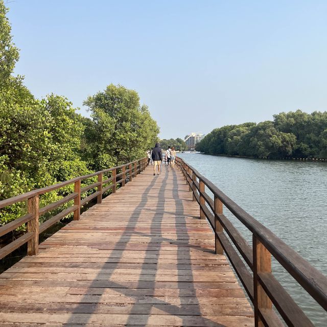 | ป่าชายเลน |  พระเจดีย์กลางน้ำ 🌳 ป่าในเมืองจังหวั