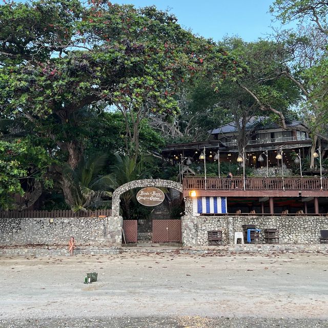 Birds & Bees Resort รีสอร์ทที่ธรรมชาติสุดๆในพัทยา
