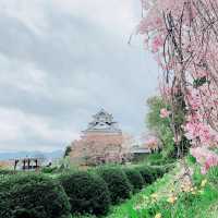 【山形】お城と桜　“上山城“