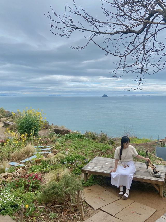 🌷봄에 남해에서 제일 이쁜 카페🌷