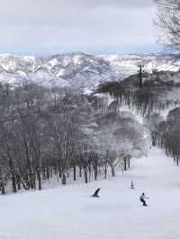 野澤百年溫泉小鎮滑雪