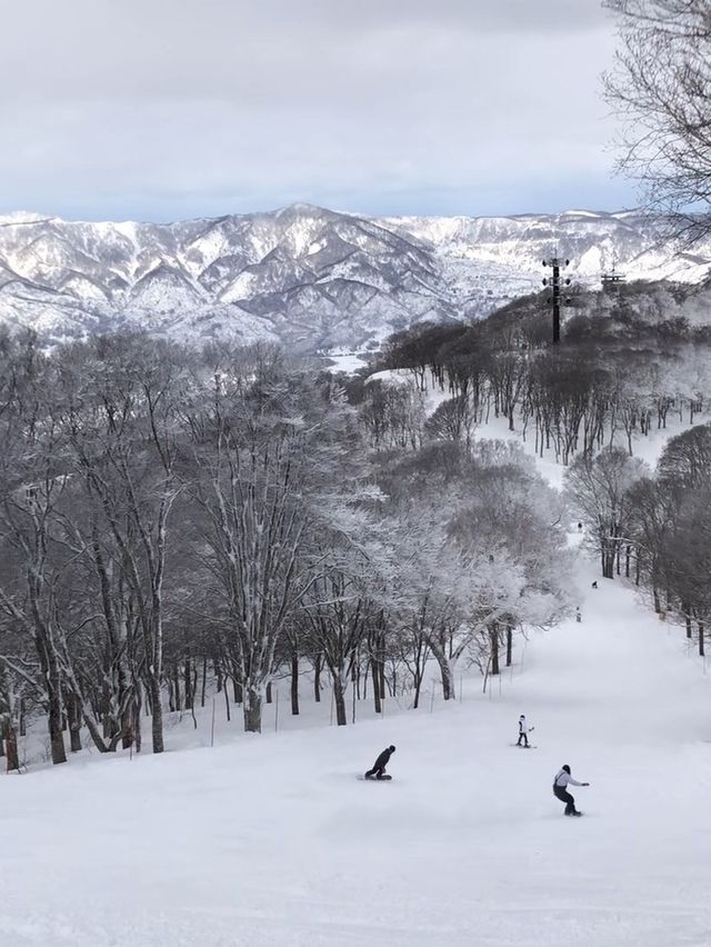 野澤百年溫泉小鎮滑雪