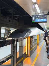 Experienced High Speed Railway HSR - Taipei 