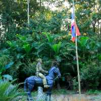 บ้านเทอดไทย อำเภอแม่ฟ้าหลวง จังหวัดเชียงราย
