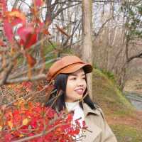 โอซาก้าจ๋า  น้องมาหาแล้วจ้า EP 5