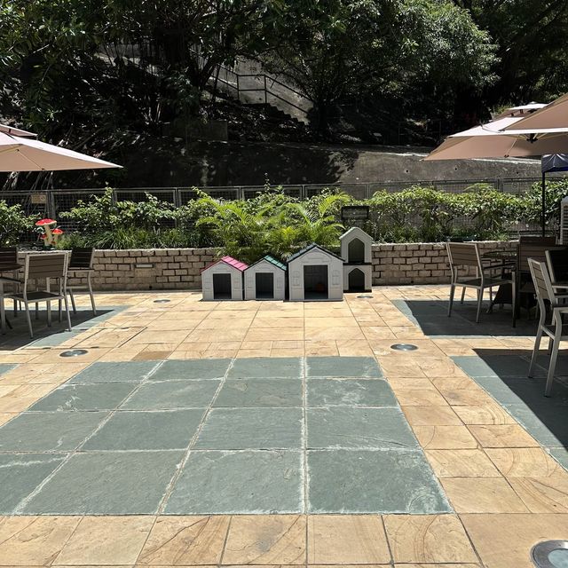 深水埗老香港情懷寵物友善餐廳