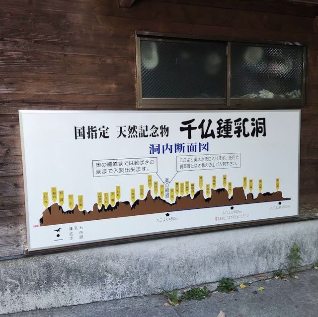 【福岡観光】夏におすすめスポット✨