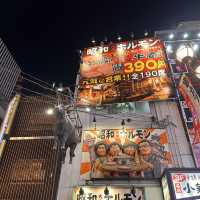 Osaka night lights at the Dotombori