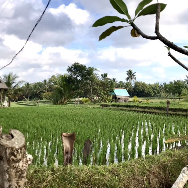 Hidden Place of Paradise in Ubud