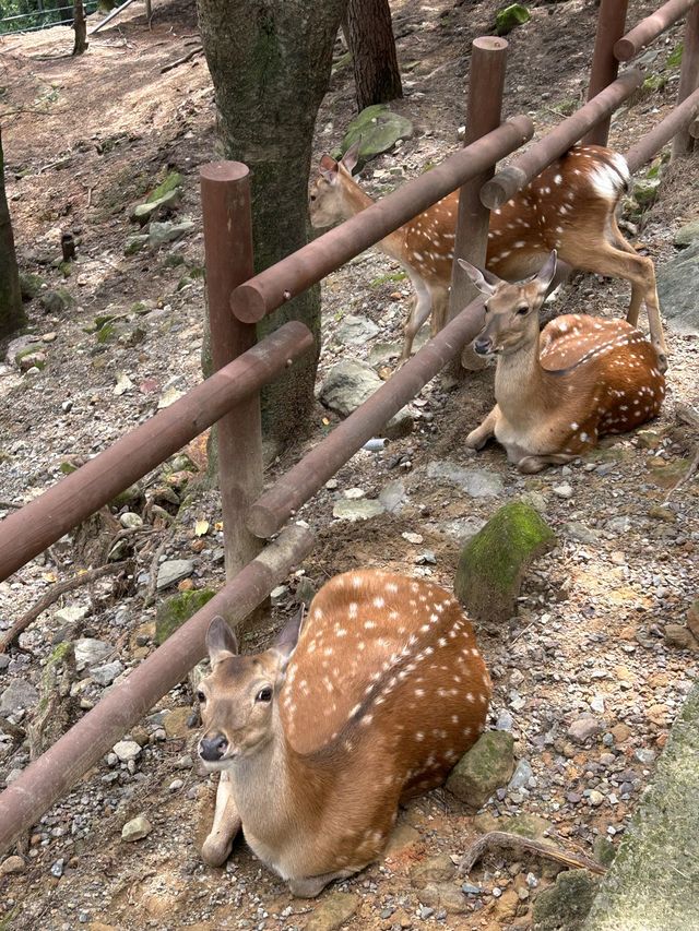 [진주] 진주에도 동물원이..?😮 “진양호 동물원”