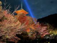 【京都】京都の定番スポット！外せない清水寺！