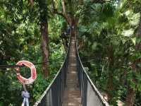 • Doi Tung Tree Top Walk 🎪✨