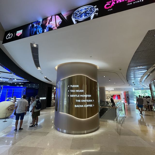 Huge shopping mall in Orchard: Ion Orchard 