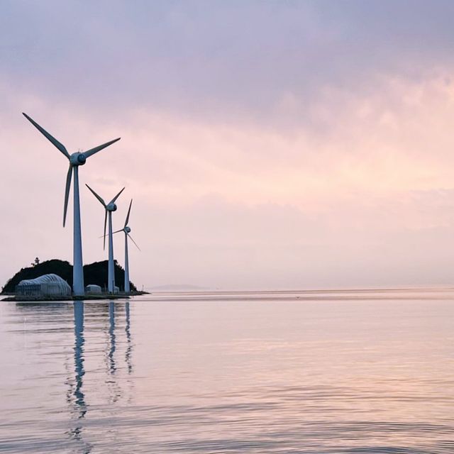🕊️ 아름다운 서해바다의 풍경을 담은 탄도항 