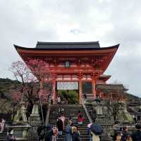 Kyoto's Serene Architectural Beauty & Nature