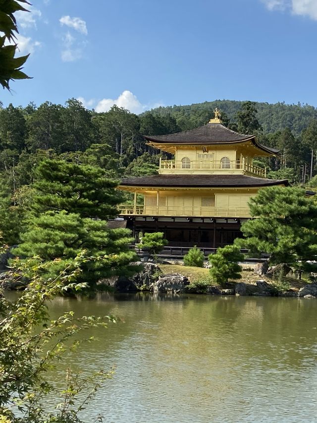 【京都観光】世界遺産🇯🇵金閣寺