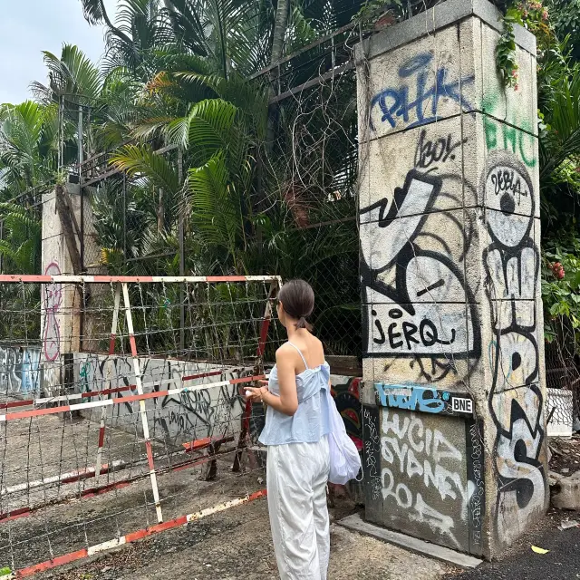 호치민 흔한 공원뷰〰️🌳