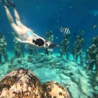 Snorkeling tour Gili meno, Gili air & T