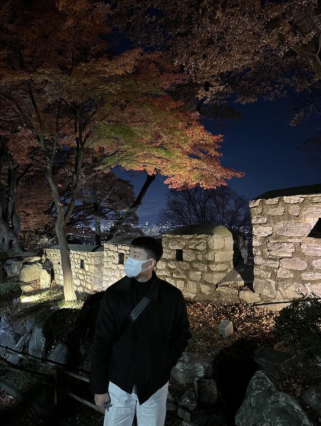 야경 맛집 서울 남산타워🌃⭐️✨