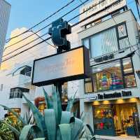 🇯🇵 Omotesando walking street