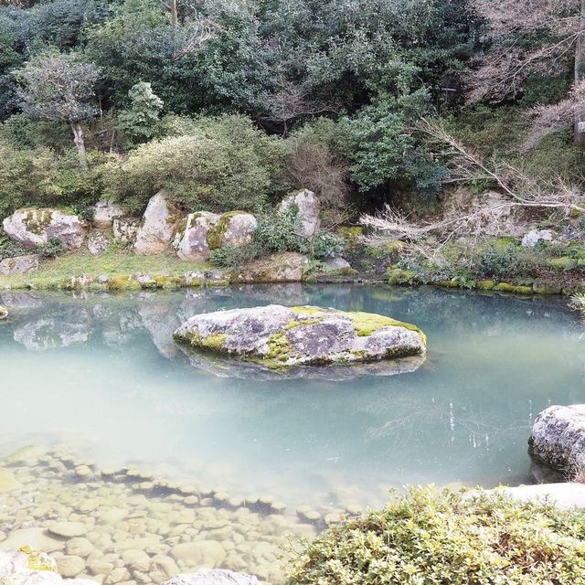 《京都》穴場の観光SPOT🐥