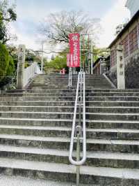 【大阪府/枚岡神社】境内に鹿がいる「元春日」