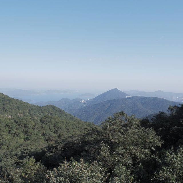 香港行山,十分鐘上山頂看芒草  香港行山,十分鐘上山頂看芒草
