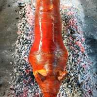 A bite that you can't resist ๐๐๐