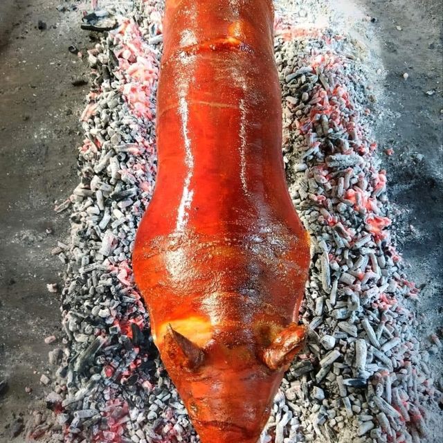 A bite that you can't resist ๐๐๐ A bite that you can't resist ๐๐๐