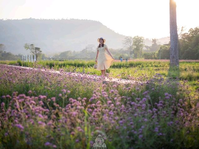 สวนดอกไม้@Verona Tub Lan จ.ปราจีนบุรี
