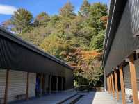 小資旅客都可以享受到的星野溫泉♨️
