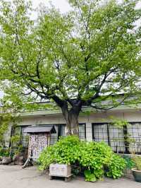 【青森県/廣田神社】2023年行ってよかった！青森県の神社②
