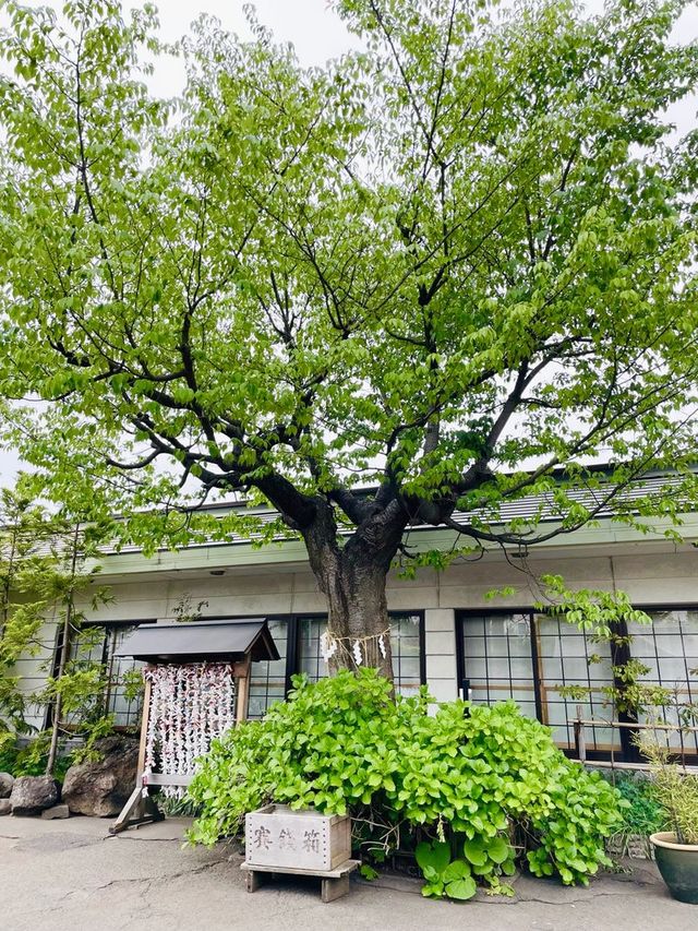【青森県/廣田神社】2023年行ってよかった！青森県の神社②