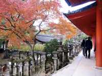 ดูใบไม้เปลี่ยนสีที่ศาลเจ้าตะเกียง Kasuga Taisha