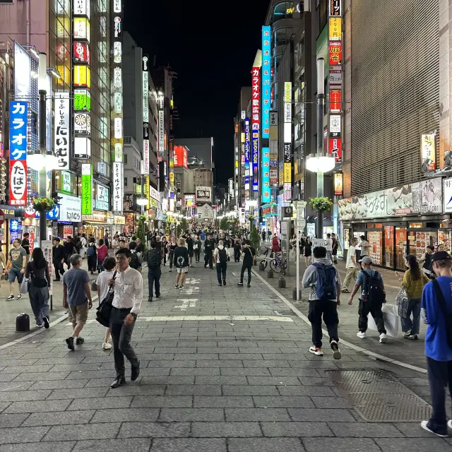 Kabukicho - Night in Tokyo 