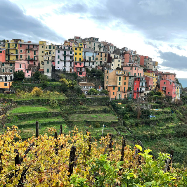 Italy Cinque Terre a postcard coming to life