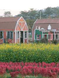 Bliss & Bloom Cafe ทับลาน