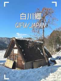 【日本/岐阜】世界遺産！冬の白川郷🏠