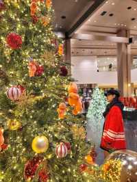 크리스마스 경주 트리맛집으로 핫했던 라한셀렉트경주🎄