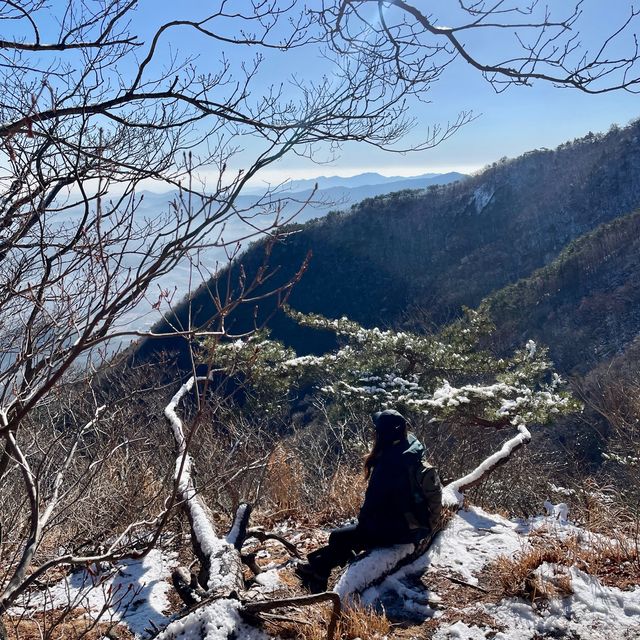 영남알프스 8봉 신불산 영축산 최단코스, 눈 산행