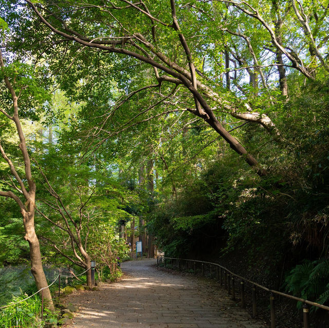 A park near Kawasaki station