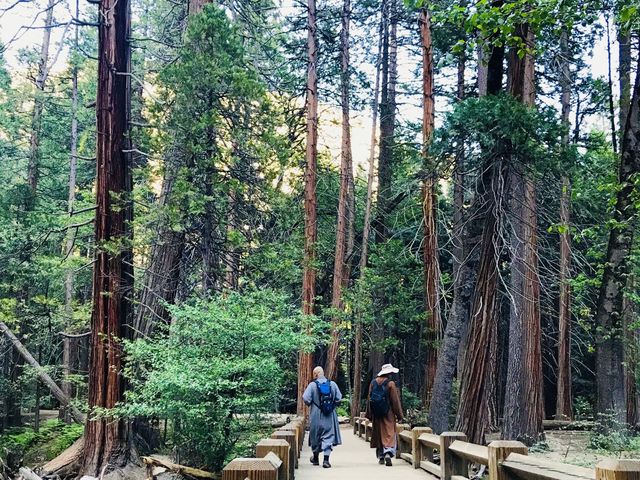 The enigmatic of Yosemite's hidden heritage.