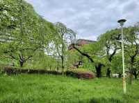 Tsutsujigaoka Park