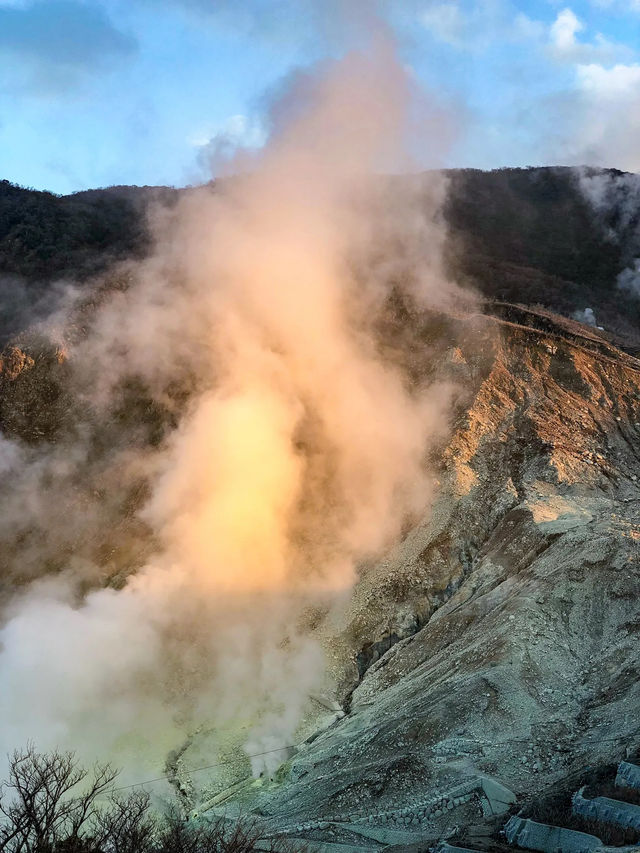 【神奈川】箱根フリーパスにて日帰り旅行を