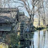 Daio Wasabi Farm, Nagano 🇯🇵